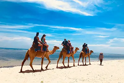 riding camel activity package  with epica bali tour service
