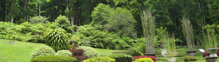 package full day tour bedugul botanical garden bali tour