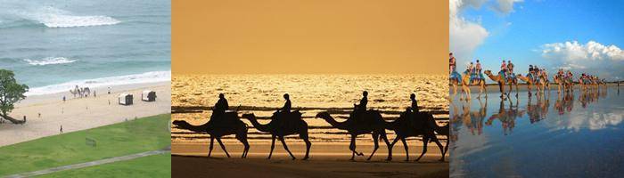 package half day tour riding camel in bali tours activity bali tour